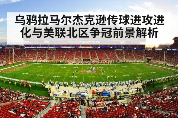 american football stadium night crowd
