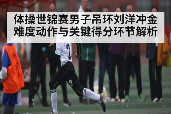 体操世锦赛男子吊环刘洋冲金难度动作与关键得分环节解析